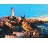 Signs 4 Fun MGH57 German Shepherd Magnet, Orange | Amazon (US)