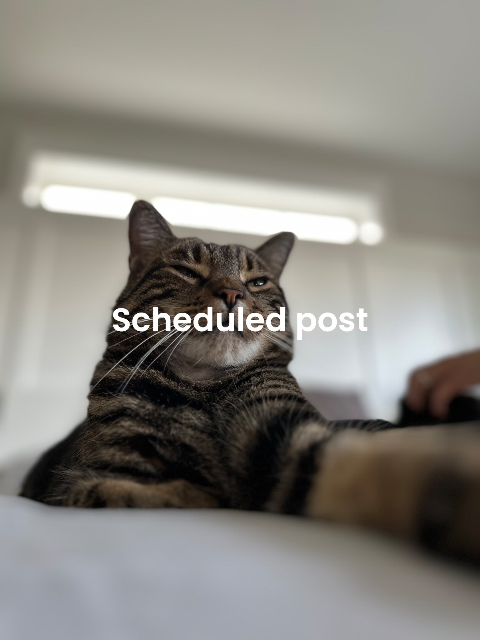 This post is scheduledd