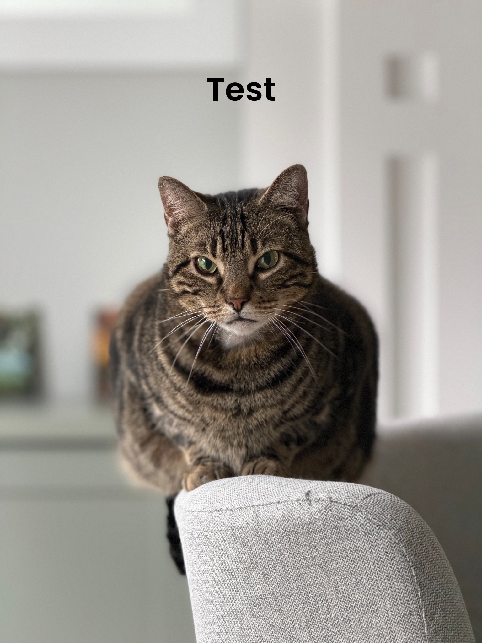 This post has 2 products 
