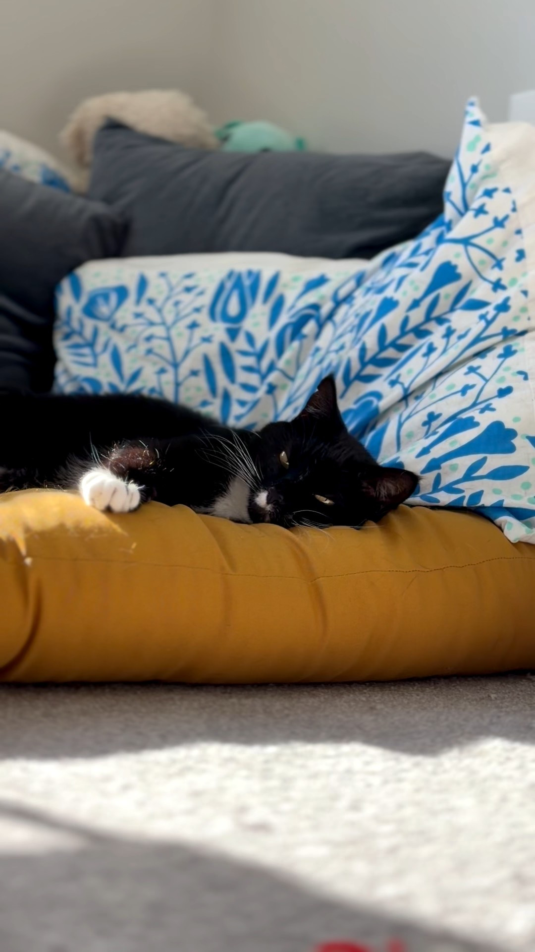 Testing interrupted video upload