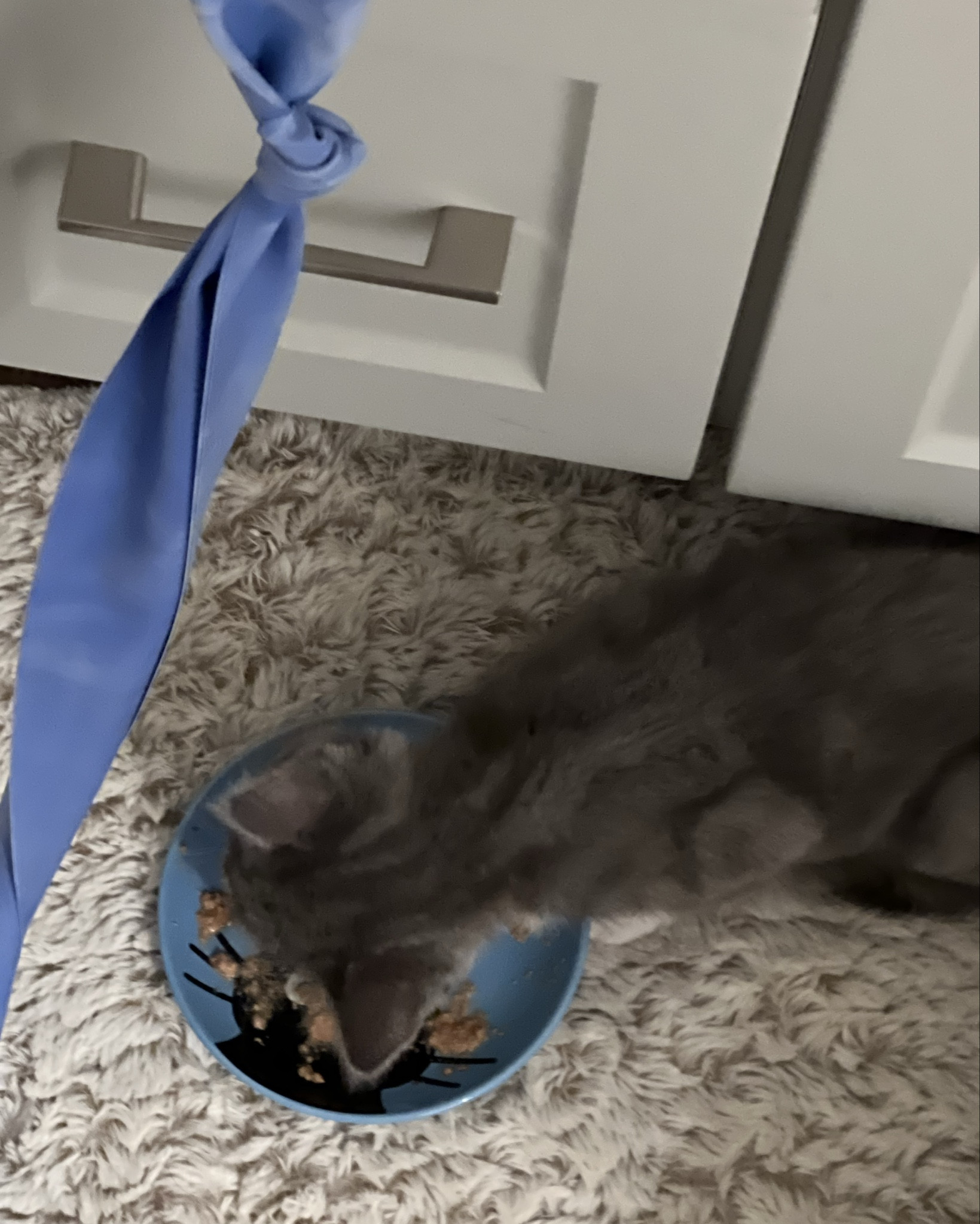 According to all known laws of aviation, there is no way a bee should be able to fly.
Its wings are too small to get its fat little body off the ground.
The bee, of course, flies anyway because bees don't care what humans think is impossible.
Yellow, black. Yellow, black. Yellow, black. Yellow, black.
Ooh, black and yellow!
Let's shake it up a little.
Barry! Breakfast is ready!
Coming!
Hang on a second.
Hello?
Barry?
Adam?
Can you believe this is happening?
I can't.
I'll pick you up.
Looking sharp.
Use the stairs, Your father paid good money for those.
Sorry. I'm excited.
Here's the graduate.
We're very proud of you, son.
A perfect report card, all B's.
Very proud.
Ma! I got a thing going here.
You got lint on your fuzz.
Ow! That's me!
Wave to us! We'll be in row 118,000.
Bye!
Barry, I told you, stop flying in the house!
Hey, Adam.
Hey, Barry.
Is that fuzz gel?
A little. Special day, graduation.
Never thought I'd make it.
Three days grade school, three days high school.
Those were awkward.
Three days college. I'm glad I took a day and hitchhiked around The Hive.
You did come back different.
Hi, Barry. Artie, growing a mustache? Looks good.
Hear about Frankie?
Yeah.
You going to the funeral?
No, I'm not going.
Everybody knows, sting someone, you die.
Don't waste it on a squirrel.
Such a hothead.
I guess he could have just gotten out of the way.
I love this incorporating an amusement park into our day.
That's why we don't need vacations.
Boy, quite a bit of pomp under the circumstances.
Well, Adam, today we are men.
We are!
Bee-men.
Amen!
Hallelujah!
Students, faculty, distinguished bees,
please welcome Dean Buzzwell.
Welcome, New Hive City graduating class of 9:15.
That concludes our ceremonies And begins your career at Honex Industries!
Will we pick our job today?
I heard it's just orientation.
Heads up! Here we go.
Keep your hands and antennas inside the tram at all times.
Wonder what it'll be like?
A little scary.
Welcome to Honex, a divisio

#LTKkids #LTKplussize #LTKswim