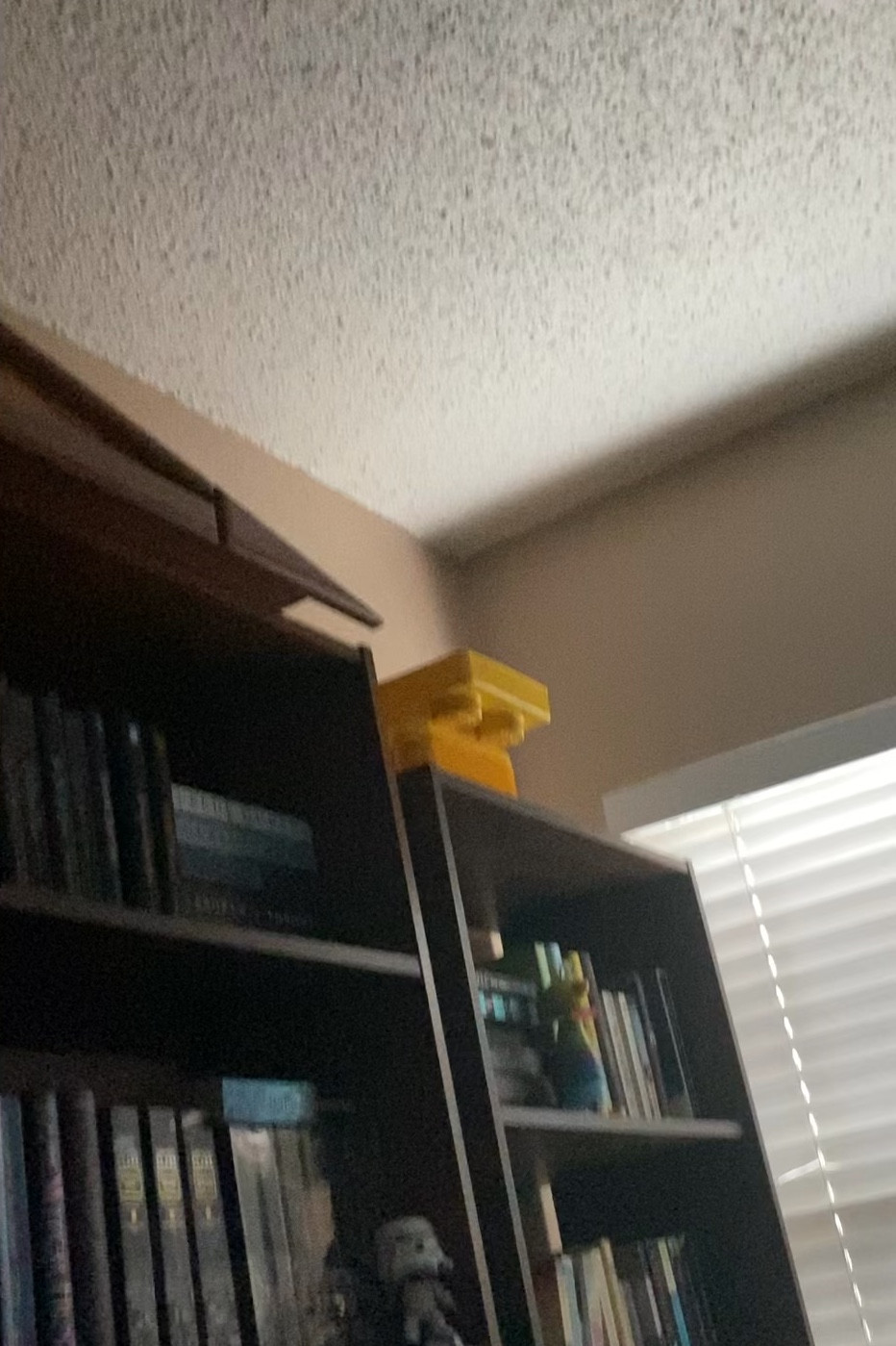 Video without sound 30+

#LTKQA #LTKVideo #LTKswim