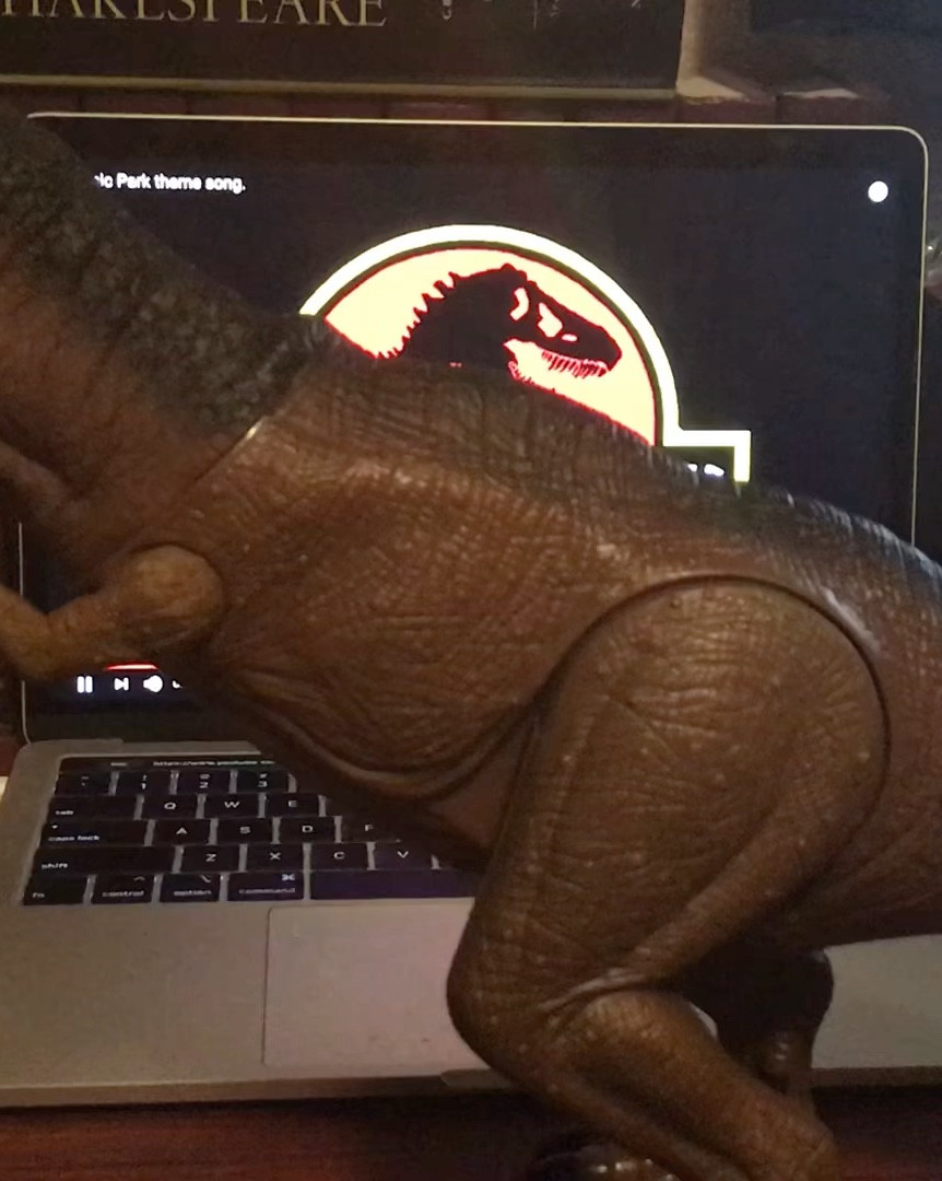 Storytelling video post with sound

#LTKQA #LTKswim #LTKwedding