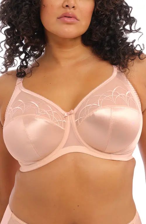 Elomi 'Cate' Underwire Bra in Latte at Nordstrom, Size 46Gg | Nordstrom