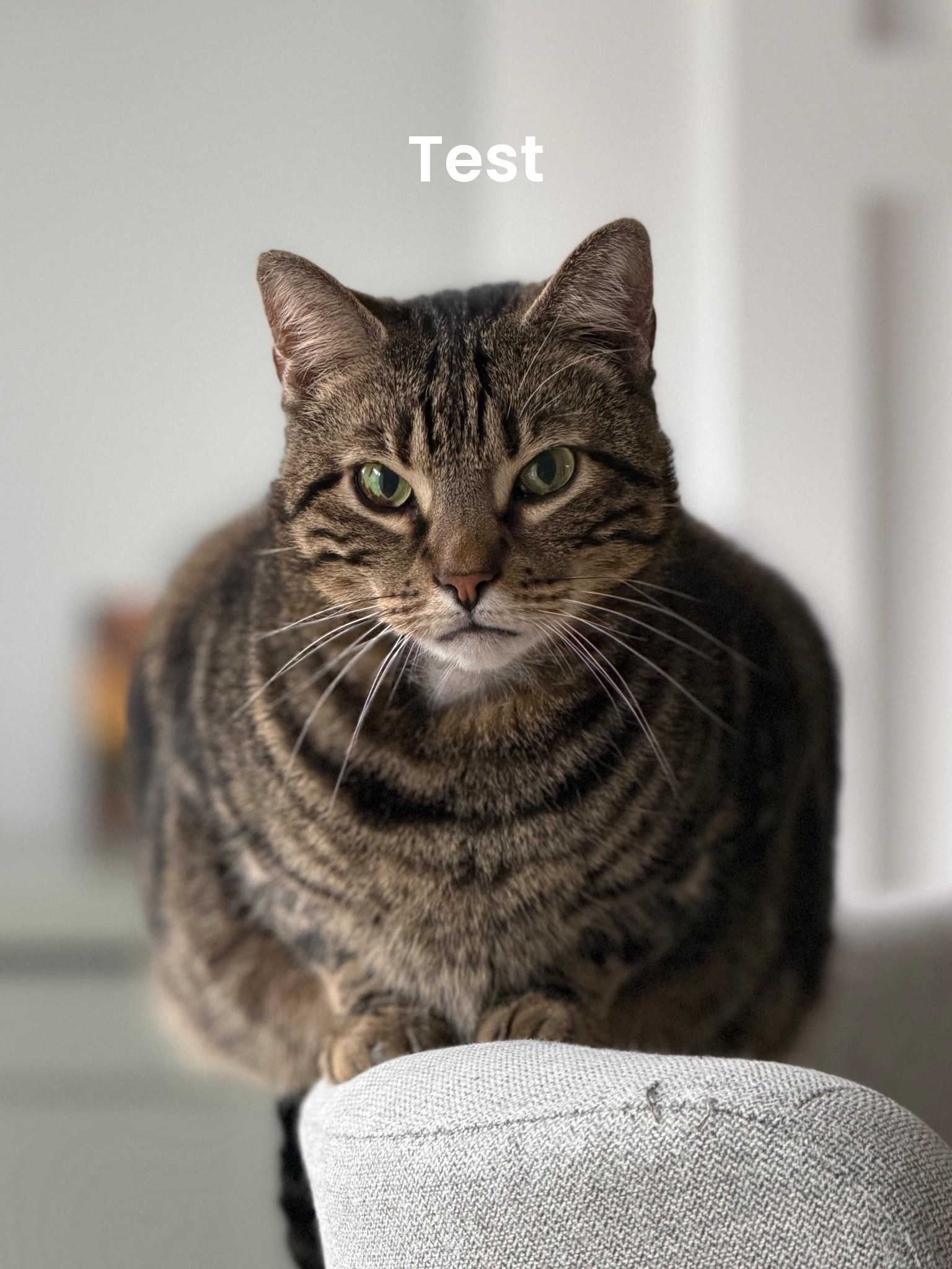 This post should have 4 products