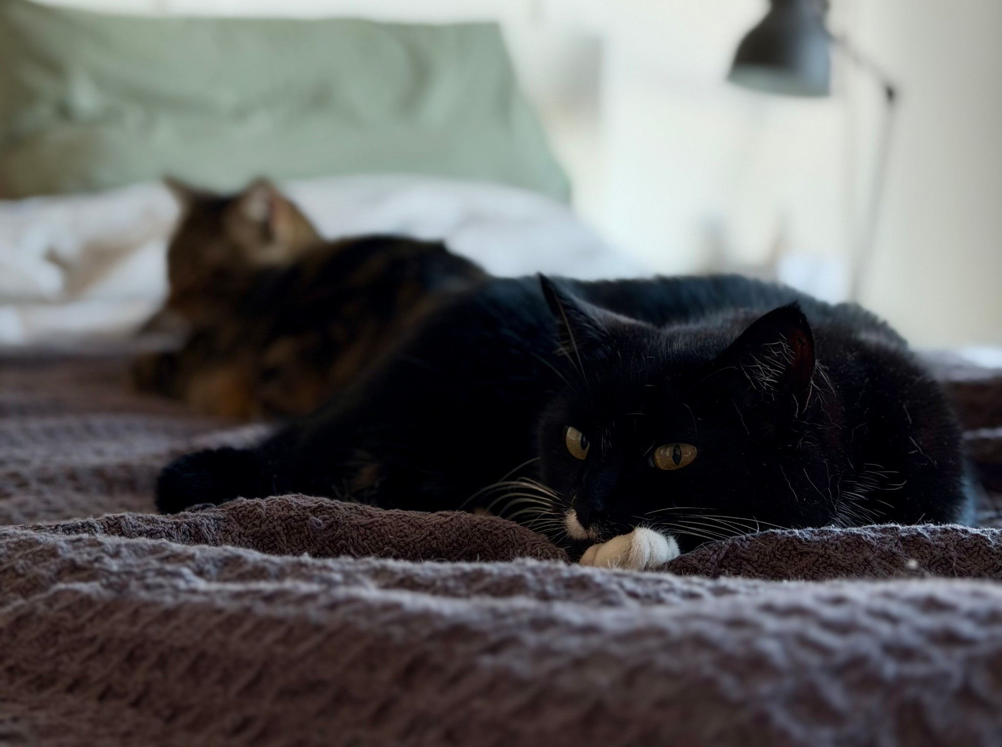 Testing an image post