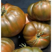 [638]Black From Tula Tomato Seeds | Heirloom Organic | Etsy (US)