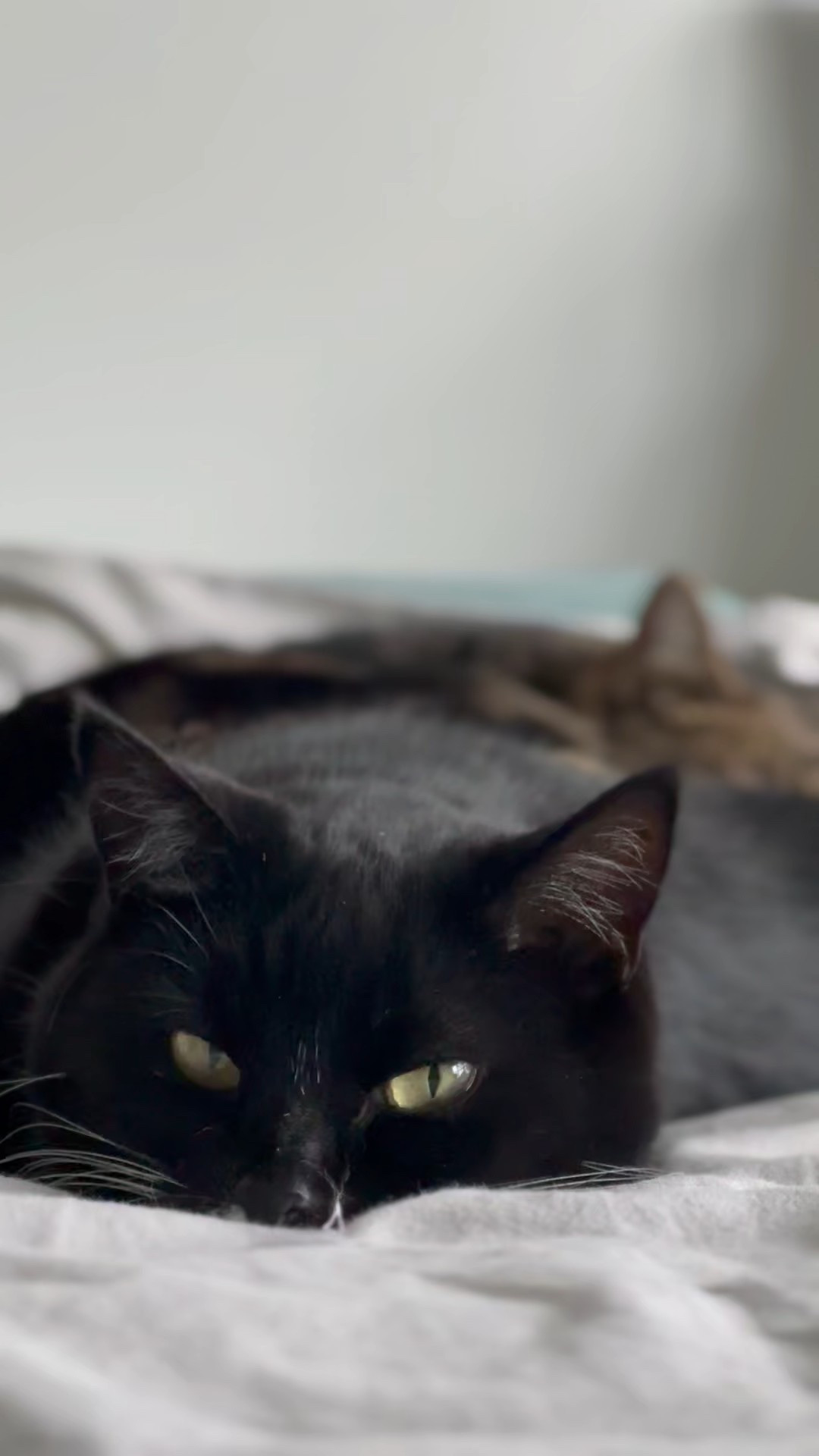 This video has no sound