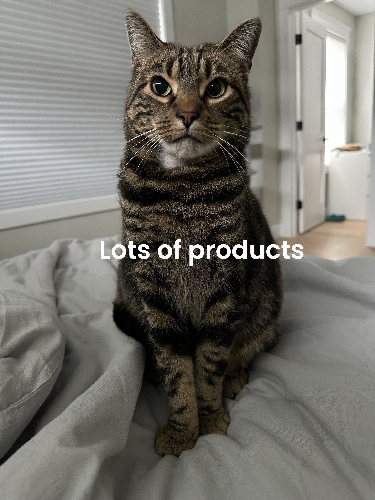 This post has 10 products