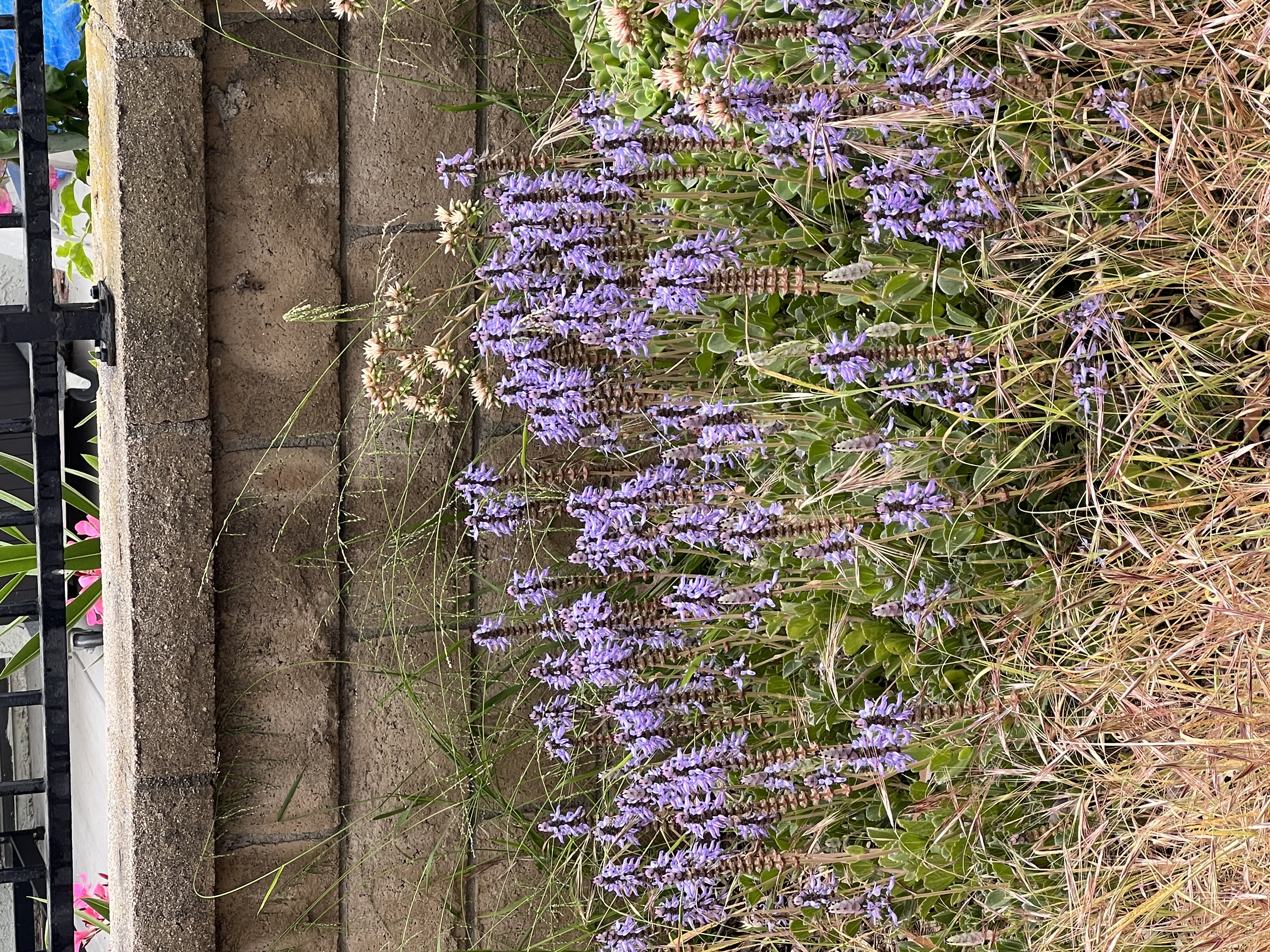 adding 50 products round 3 because i missed match_type 7