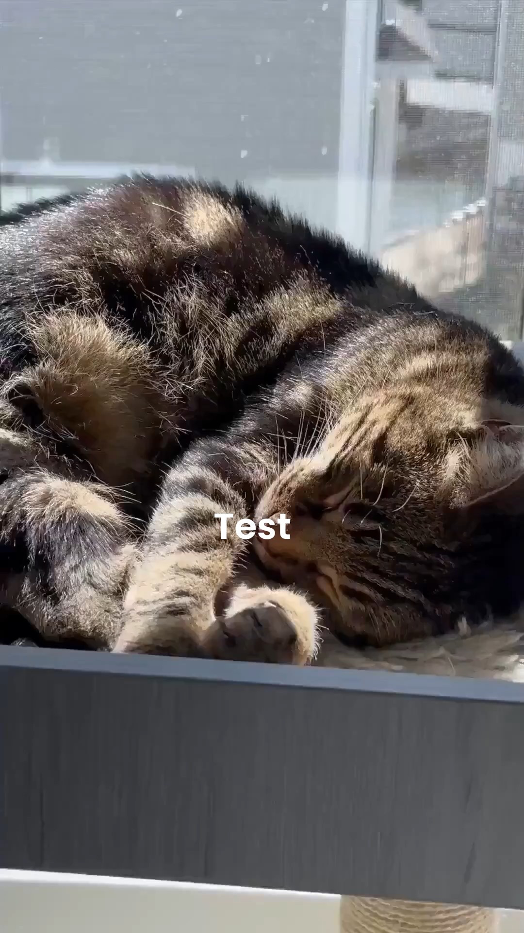 Test caption