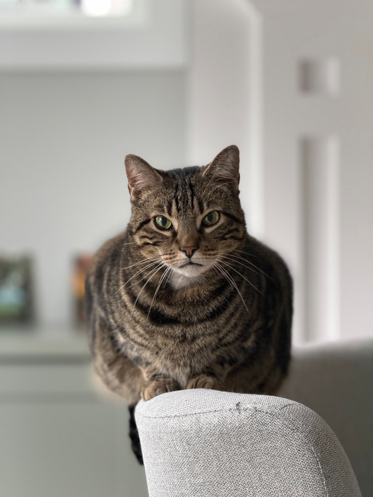 Draft post with products