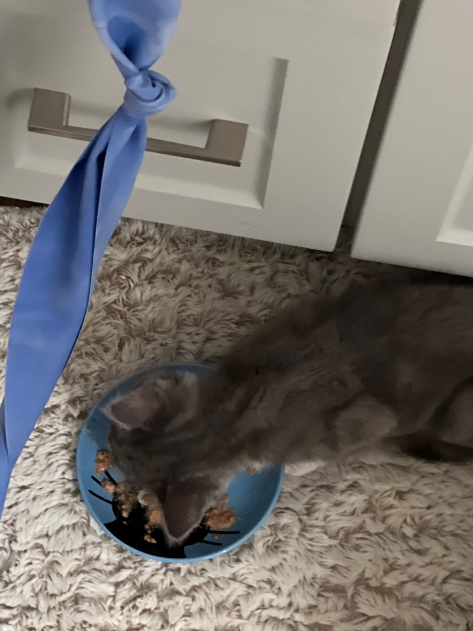 #LTKVideo #LTKstyletip #LTKbaby