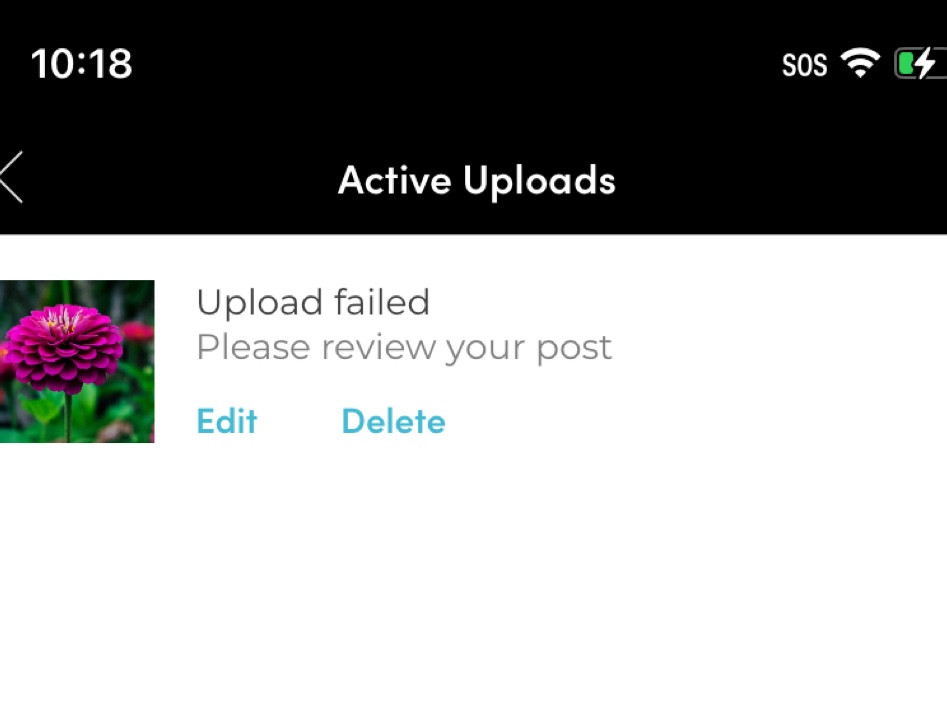 Trick or treat 

#LTKHalloween #LTKU