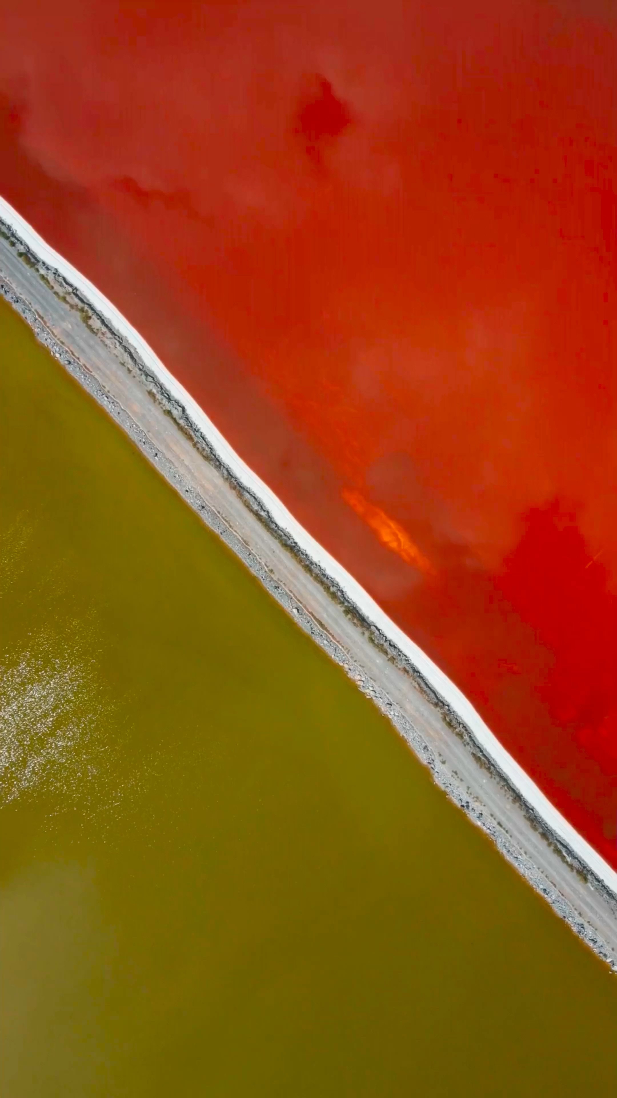 Storytelling post: [video, image]