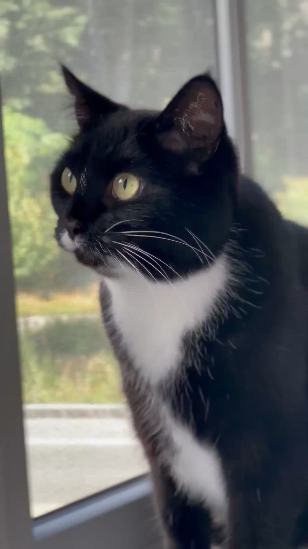 Testing resumed post editing