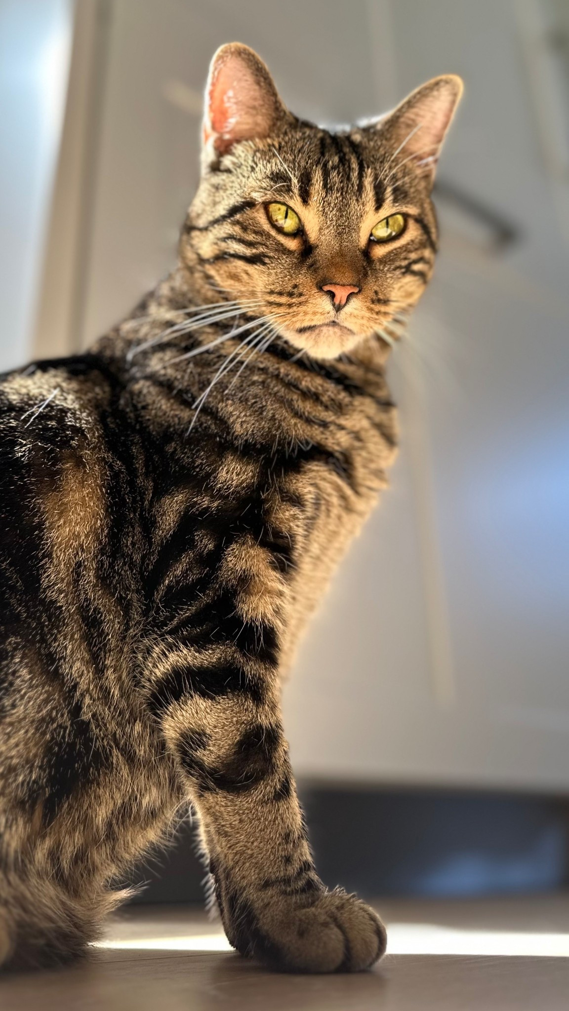 Image post test