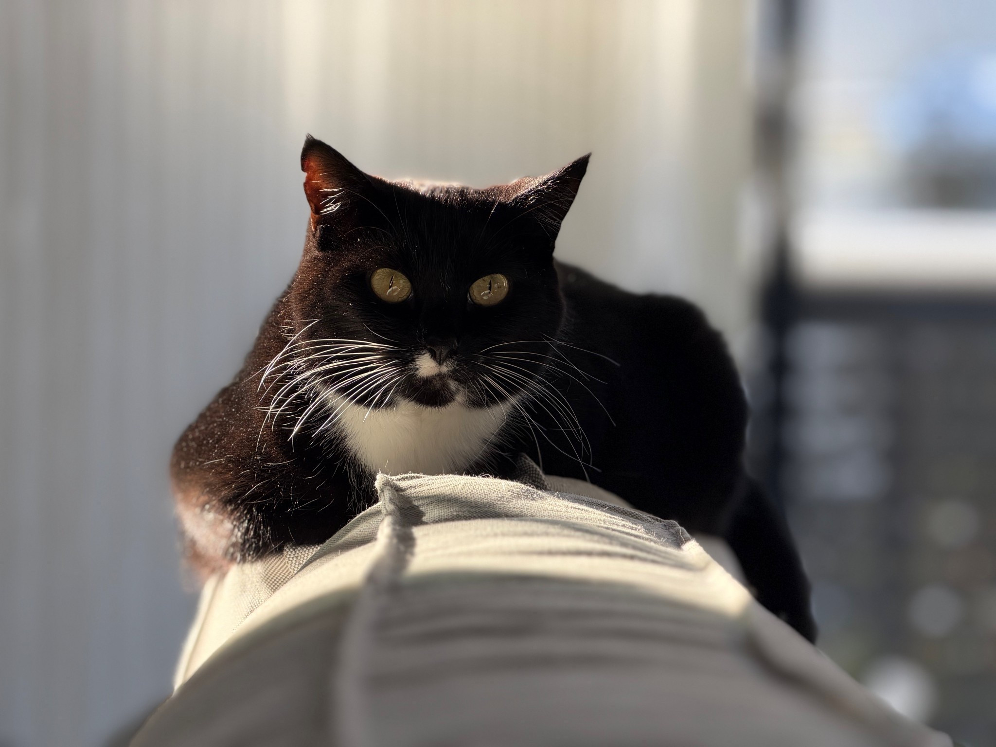 This post was drafted with products and the media was changed  