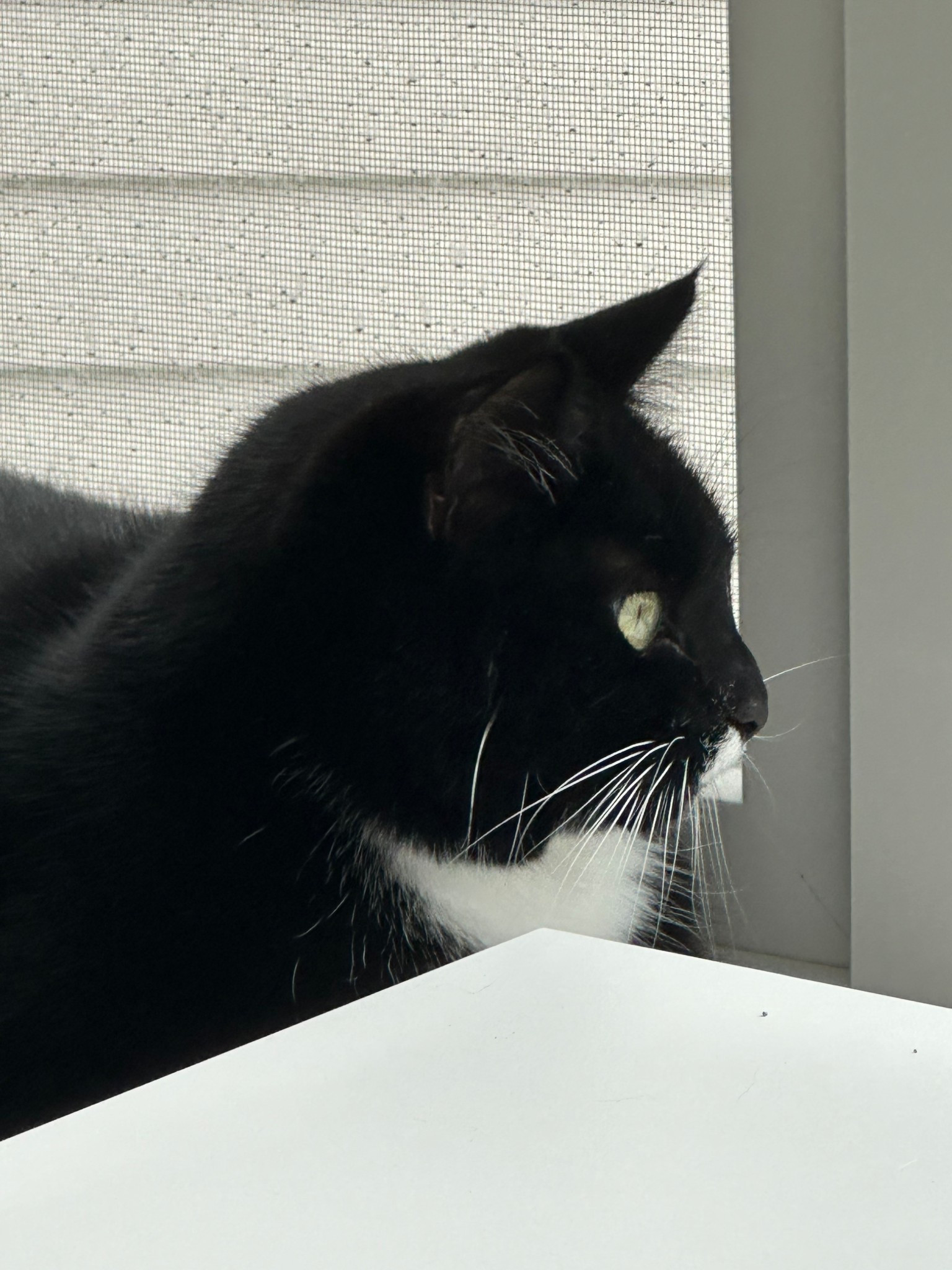 Test test

#LTKVideo #LTKU #LTKmidsize